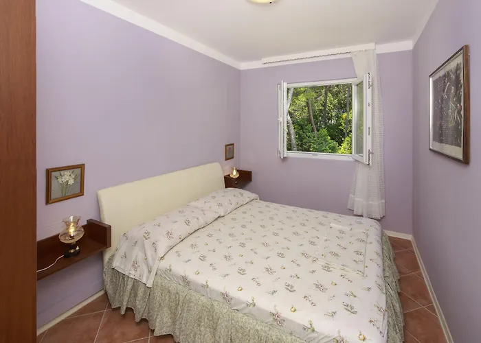 公寓 Tamara 萨瓦拉