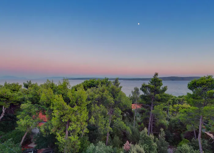 公寓 Tamara 萨瓦拉